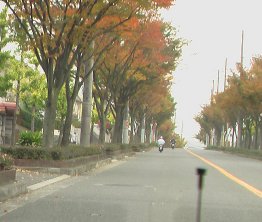 嵐山ﾌﾟﾁﾄﾞﾗｲﾌﾞ1_20.jpg